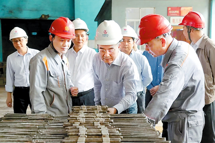 崇左:主动作为求突破 奋力攻坚结硕果
